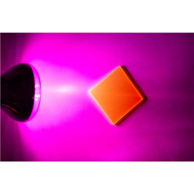 Fluorescent plates, RGBY set, 50 mm x 50 mm