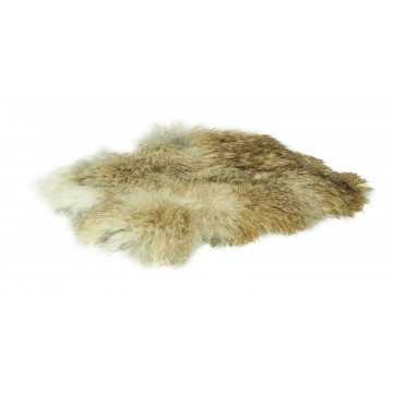 Cat fur 