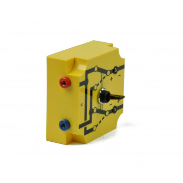 PIBD Four-way switch with polarity indicator