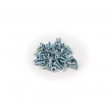 Phillips screws, set of 40