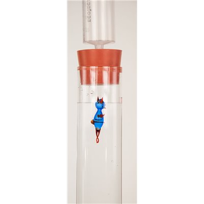 Cartesian diver 02
