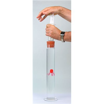 Cartesian diver, simple