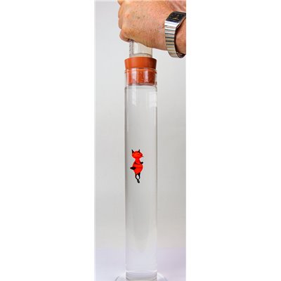 Cartesian diver 02
