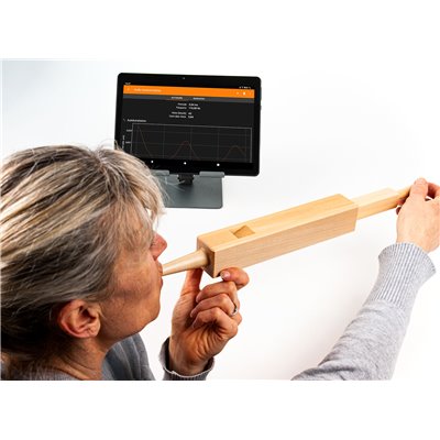 Flue pipe, model Flue pipe, model